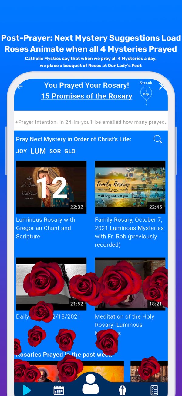 Rosary Experience — Post-prayer suggestions